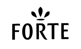 FORTE trademark