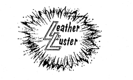 LEATHER LUSTER trademark