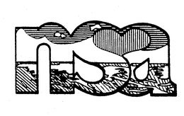 NSA trademark