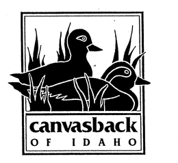 CANVASBACK OF IDAHO trademark