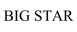 BIG STAR trademark