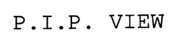 P.I.P. VIEW trademark