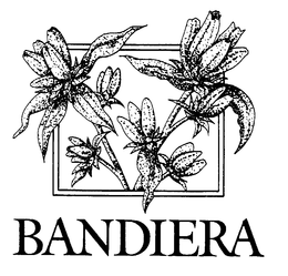 BANDIERA trademark