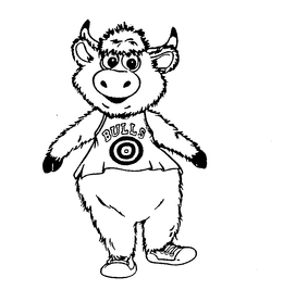 BULLS trademark