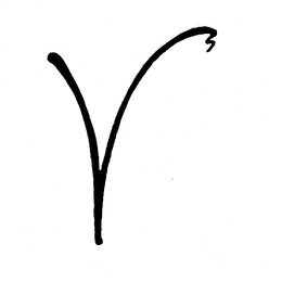 VS trademark