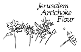 JERUSALEM ARTICHOKE FLOUR trademark