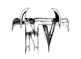 NV trademark