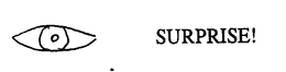 SURPRISE! trademark