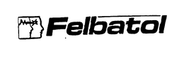 FELBATOL trademark