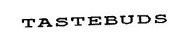 TASTEBUDS trademark