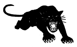 THE BLACK PANTHER PARTY trademark