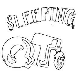 SLEEPING QTS trademark