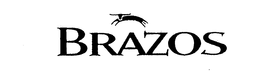 BRAZOS trademark