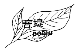 BODHI trademark
