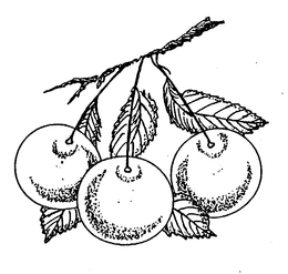 LogoMark trademark