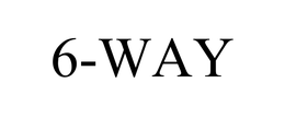 6-WAY trademark