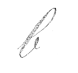 B trademark