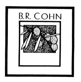 B.R. COHN trademark