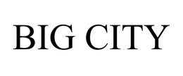 BIG CITY trademark
