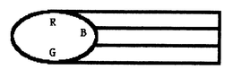 RBG trademark