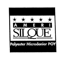 AMERI SILQUE POLYESTER MICRODENIER POY trademark