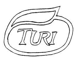 TURI trademark