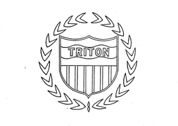 TRITON trademark
