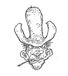 LogoMark trademark