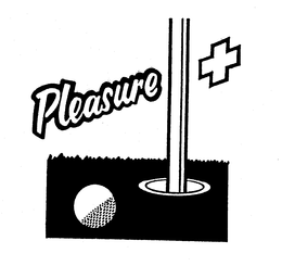 PLEASURE + trademark