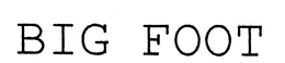 BIG FOOT trademark