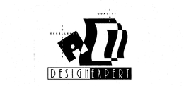 DESIGNEXPERT SOLUTIONS EXCELLENCE QUALITY LINK trademark