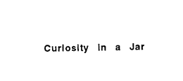 CURIOSITY IN A JAR trademark
