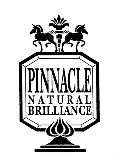 PINNACLE NATURAL BRILLIANCE trademark