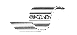 S trademark