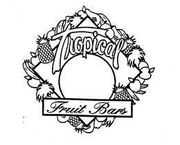 TROPICAL FRUIT BARS trademark