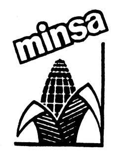 MINSA trademark
