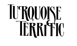 TURQUOISE TERRIFIC trademark