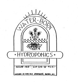 WATER-BORN HYDROPONICS PESTICIDE FREE WITH LOTS OF T.L.C. NURTURED BY WARD WEST GREENHOUSES, PENFIELD, N.Y. trademark