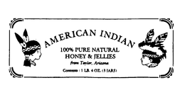 AMERICAN INDIAN 100% PURE NATURAL HONEY & JELLIES trademark