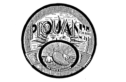 PIQUANT ('PE-KANT) THE TASTE ENHANCER trademark