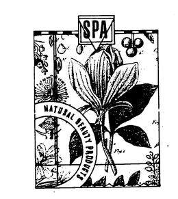 SPA NATURAL BEAUTY PRODUCTS trademark