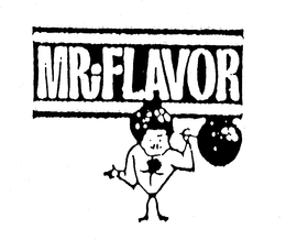 MR FLAVOR trademark