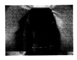PLATINUM EGOISTE trademark