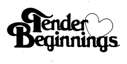 TENDER BEGINNINGS trademark