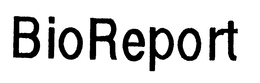 BIOREPORT trademark