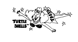 TURTLE SHELLS TORTA trademark