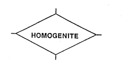 HOMOGENITE trademark