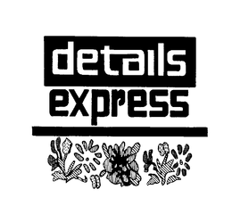 DETAILS EXPRESS trademark