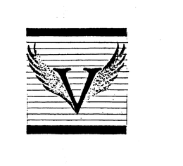 V trademark