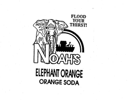 FLOOD YOUR THIRST! NOAH'S ELEPHANT ORANGE ORANGE SODA trademark